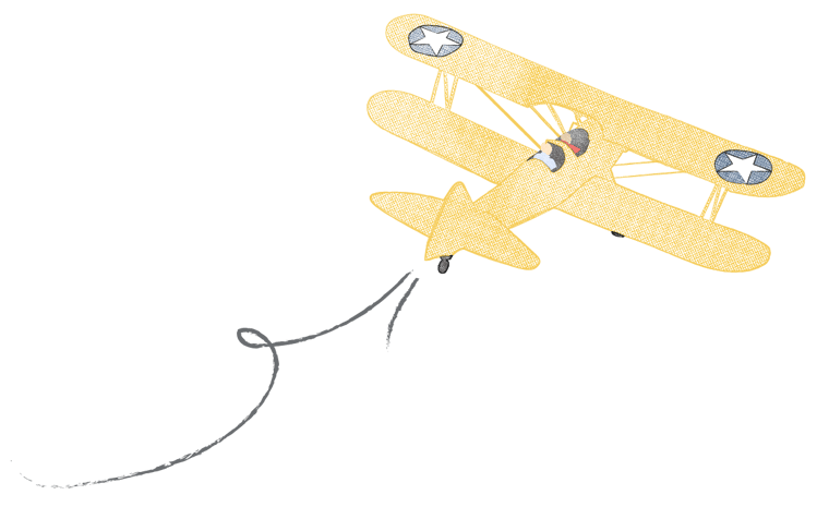 A sketch of the Steerman flying